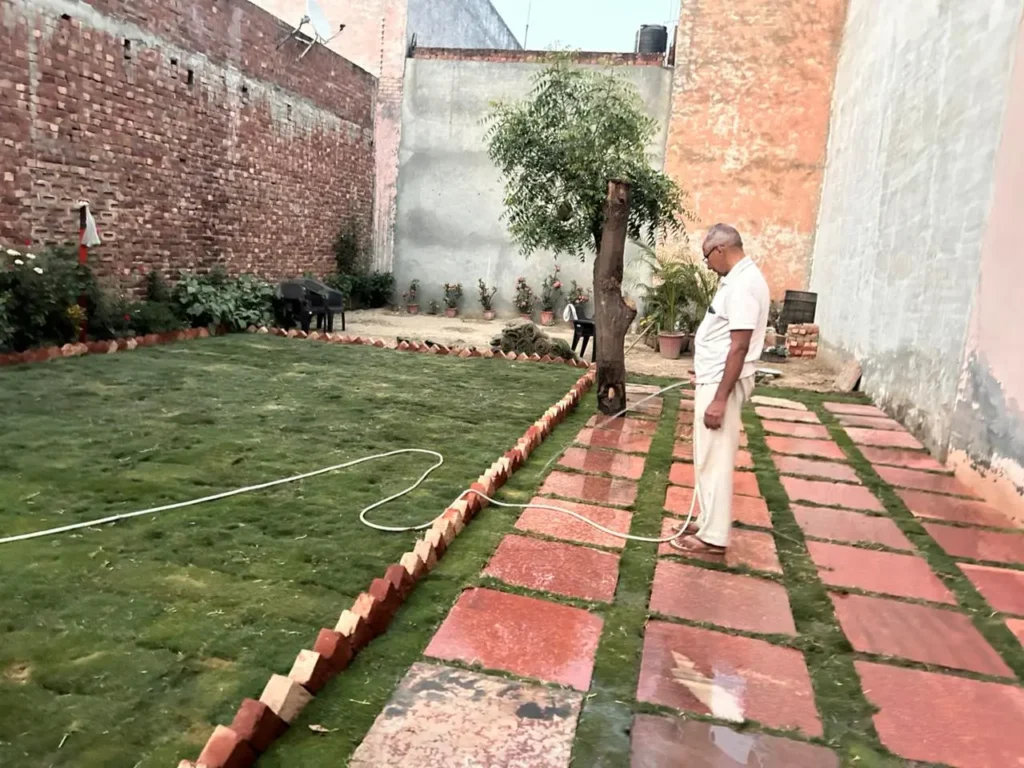 Natural Lawn Grass Installation Guide for Newly Built Homes