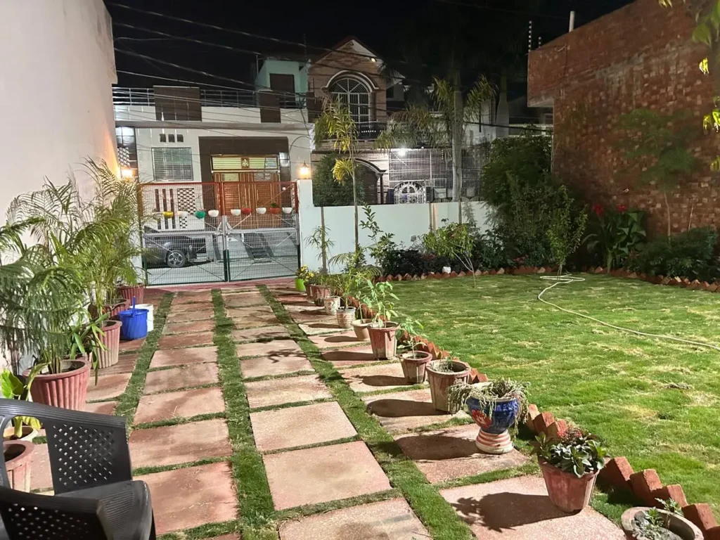 Green Mexican grass for residential lawns