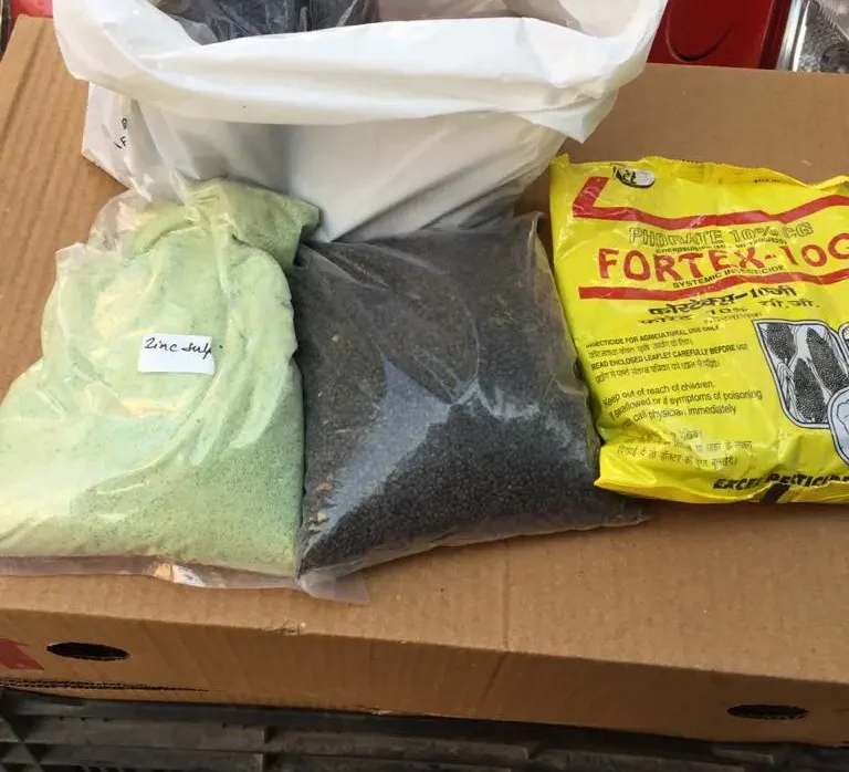 Cow dung, vermicompost or chemical fertilizer: which one does your lawn actually need?