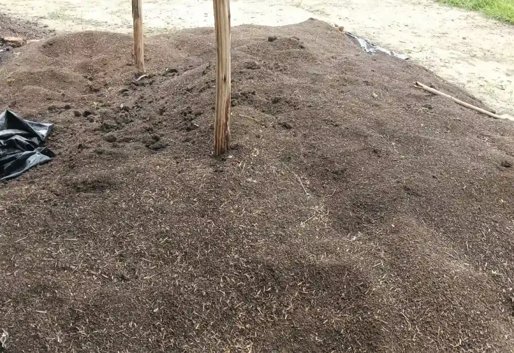 What makes vermicompost the best organic soil booster for lawns and gardens?