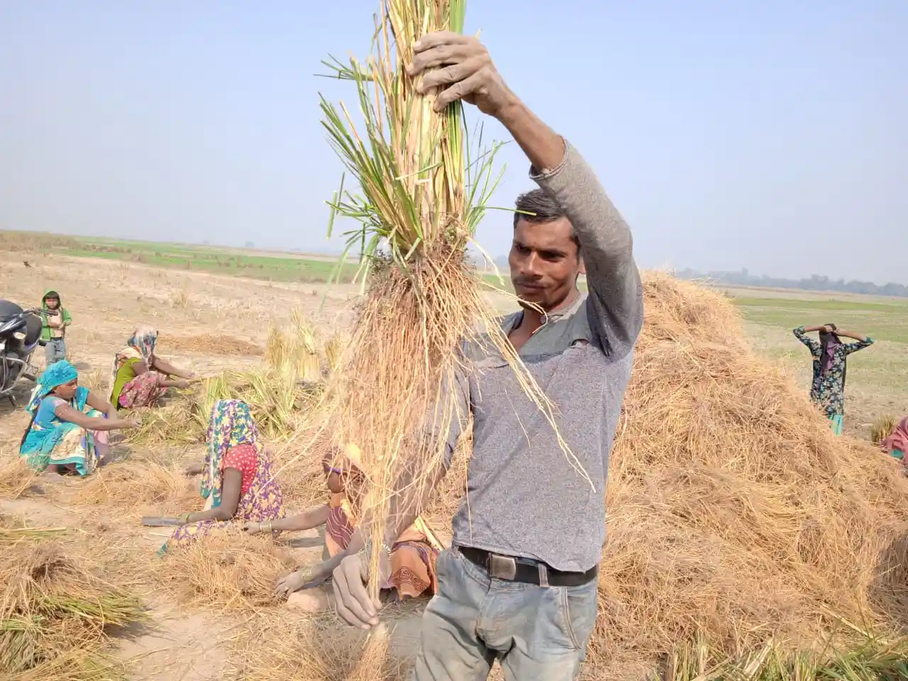 man holding vetiver grass