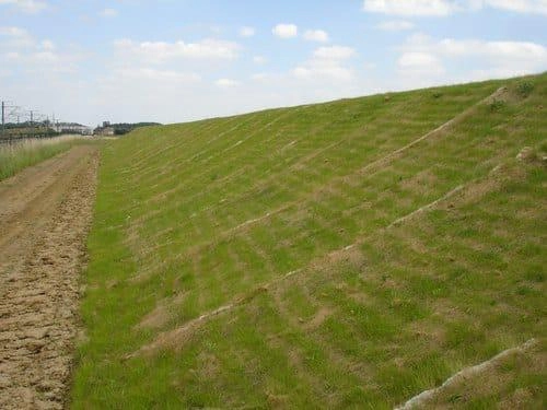 Established vetiver grass hedges on a railway embankment slope with contour rows