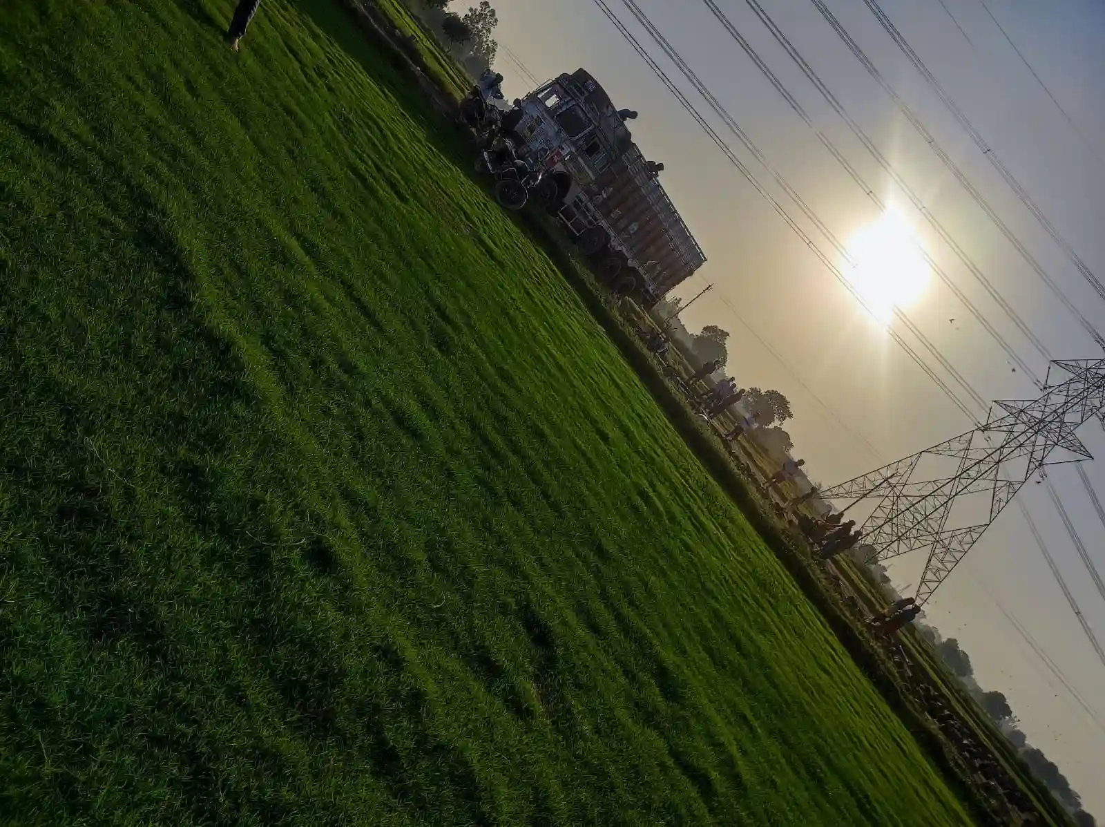 Green agricultural field with a tractor and power transmission lines in the background