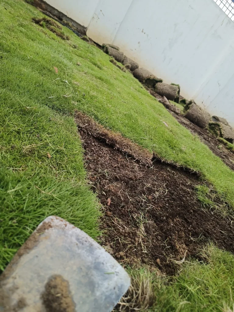 landscape contractor