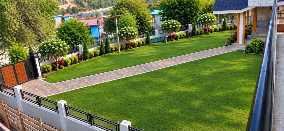 After lawn installation - American Bermuda Grass Lawn Installation in Gurgaon, Haryana