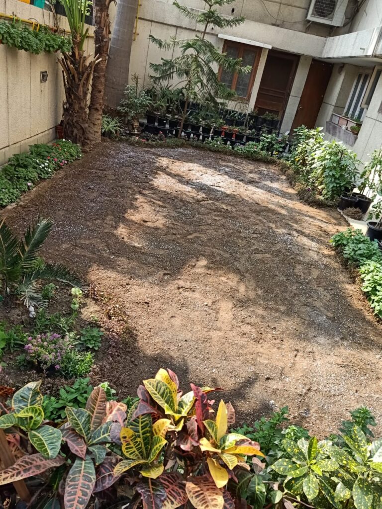 Site Inspection - Natural Lawn Grass Installation for a Residential Courtyard in Rohini, Delhi