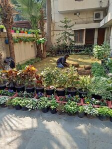 Project photo 1 - Natural Lawn Grass Installation for a Residential Courtyard in Rohini, Delhi