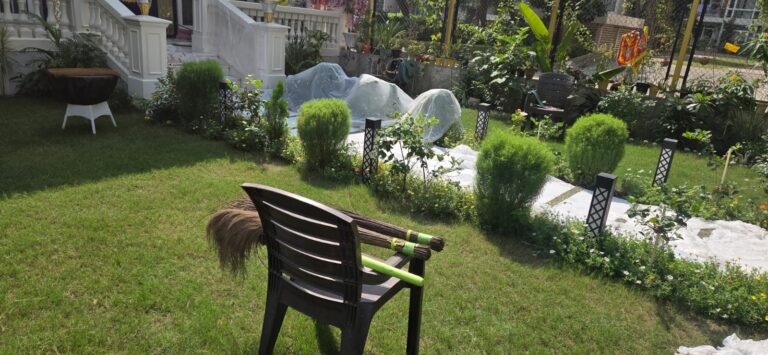 Soil Preparation - American Bermuda Grass Lawn Installation in Gurgaon, Haryana