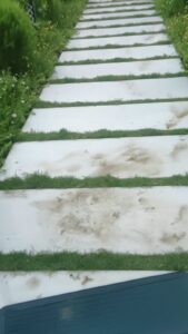 Project photo 5 - American Bermuda Grass Lawn Installation in Gurgaon, Haryana