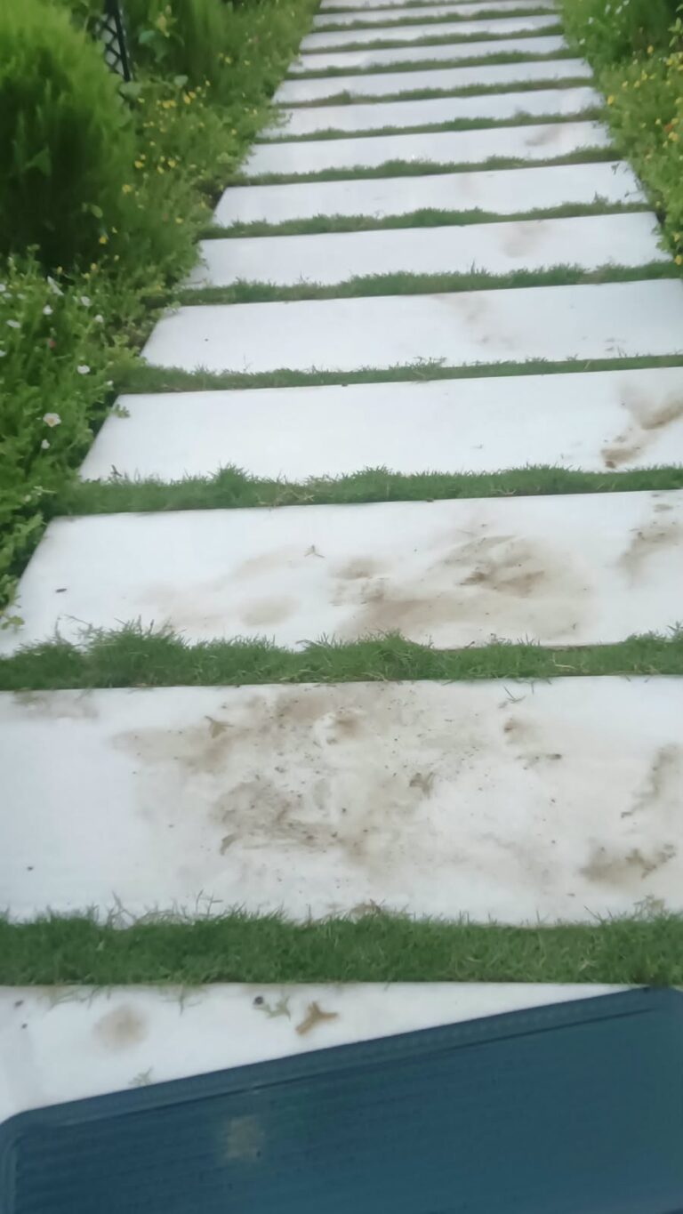 Grass Installation - American Bermuda Grass Lawn Installation in Gurgaon, Haryana