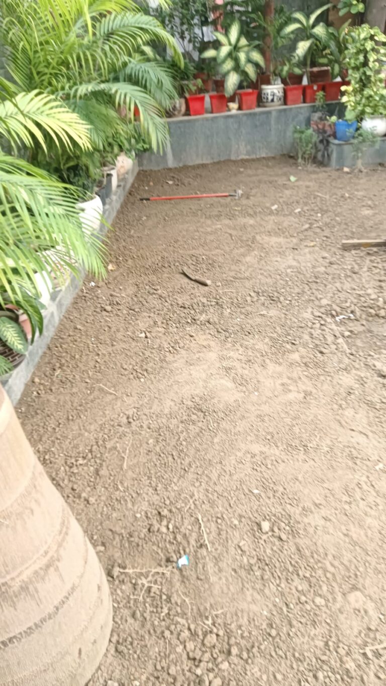 Site Inspection - Zoysia Japonica Grass Installation for a Premium Residential Lawn in Civil Lines, New Delhi