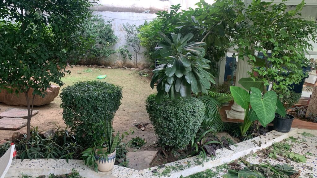 Before lawn installation - Zoysia Japonica Grass Installation for a Premium Residential Lawn in Civil Lines, New Delhi