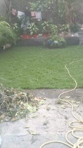 Project photo 2 - Zoysia Japonica Grass Installation for a Premium Residential Lawn in Civil Lines, New Delhi